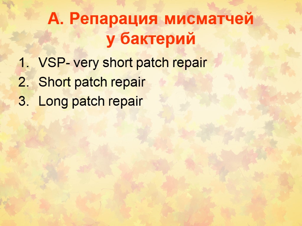 А. Репарация мисматчей у бактерий VSP- very short patch repair Short patch repair Long